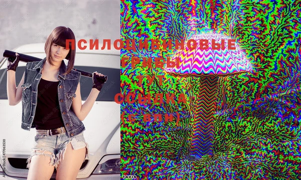 гидропоника Абаза