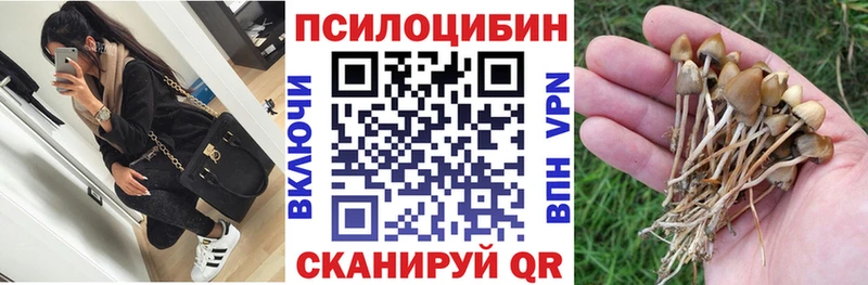 Псилоцибиновые грибы прущие грибы  Карталы 